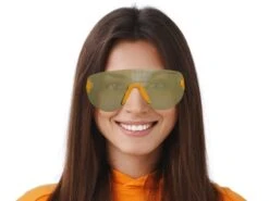 Carrera Flaglab 12 4CW/ET -Paddles Verkaufe 2365801 model 2