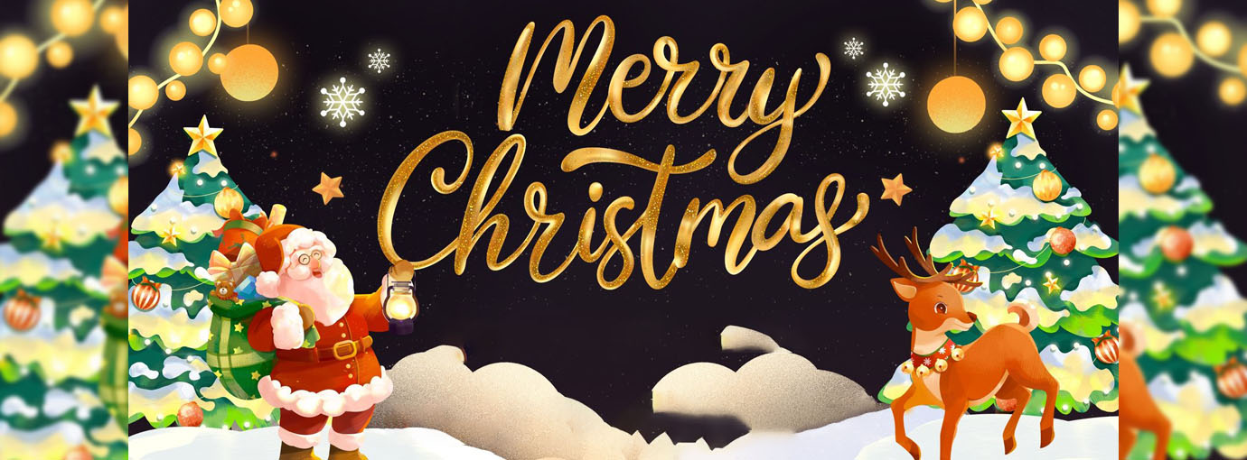 Paddles Verkaufe -Paddles Verkaufe 116